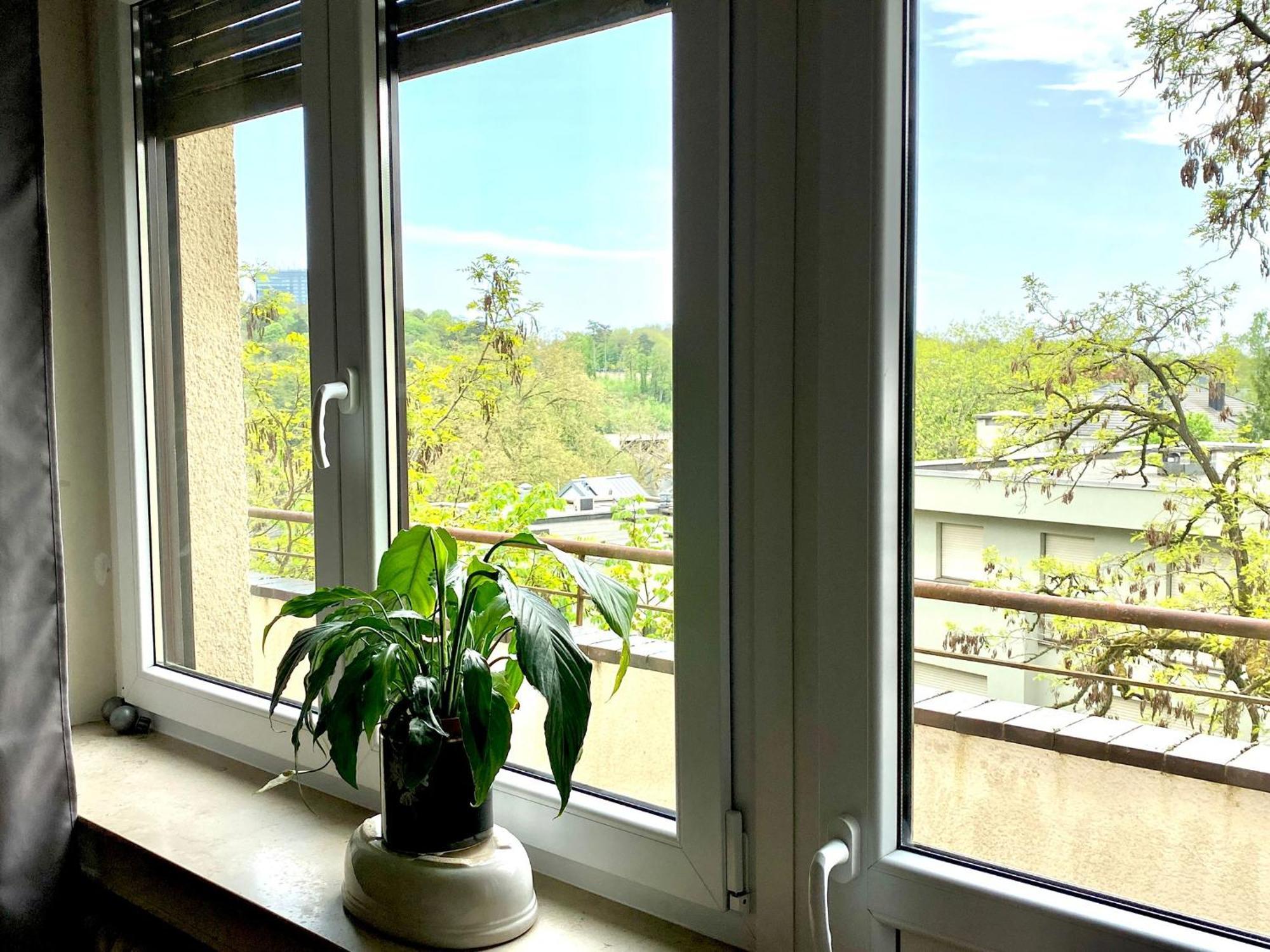 Rue Des Glacis Limpertsberg Hotel ลักเซมเบิร์ก ภายนอก รูปภาพ