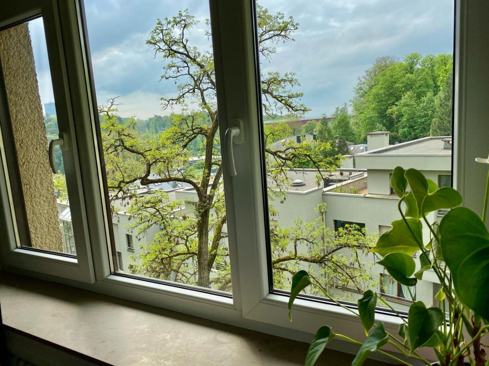 Rue Des Glacis Limpertsberg Hotel ลักเซมเบิร์ก ภายนอก รูปภาพ